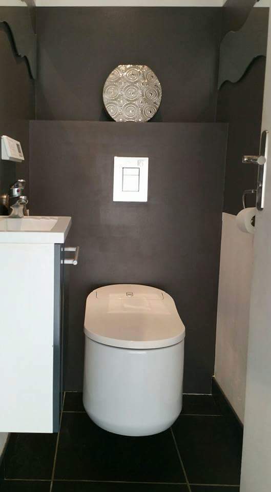 plombier-pose-wc-lavant-sechant